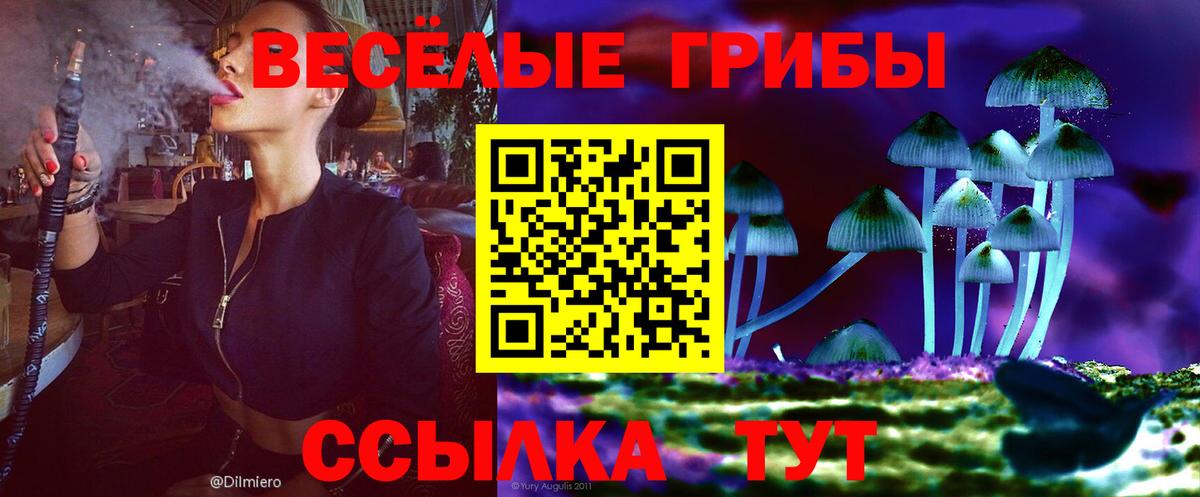 Псилоцибиновые грибы прущие грибы Кизилюрт