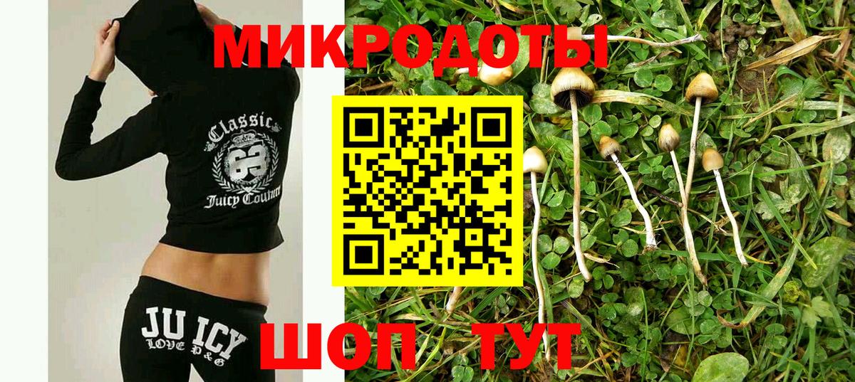 Галлюциногенные грибы Cubensis  Псилоцибиновые грибы Magic Shrooms  Вход с VPN  Кизилюрт 